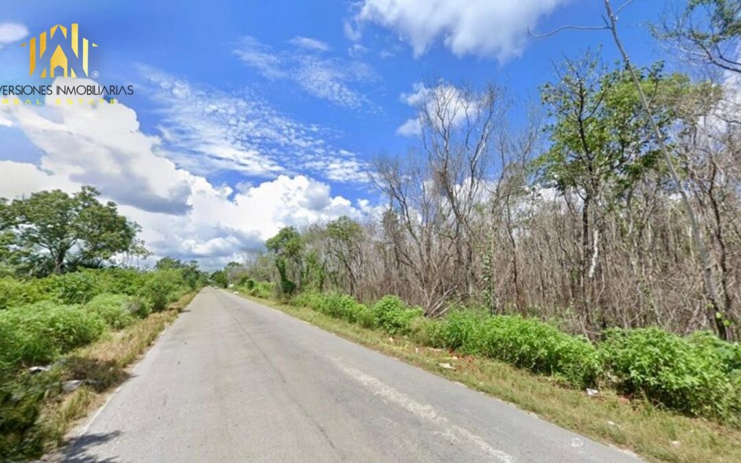 SE VENDE TERRENO DE 5.2 HAS. EN PLAYA DEL CARMEN